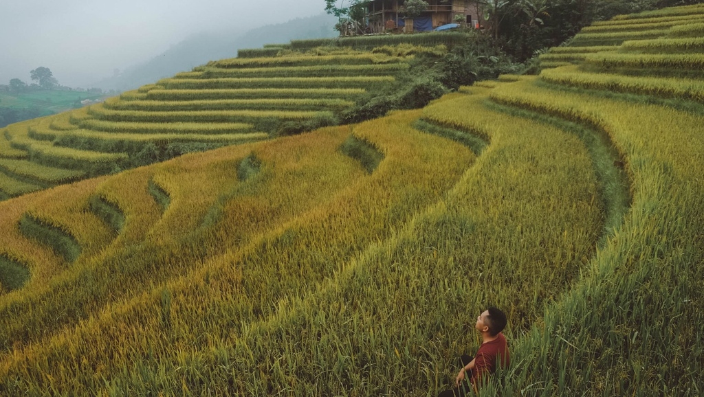 7 ideal choices for admiring ripening rice fields in northern Vietnam