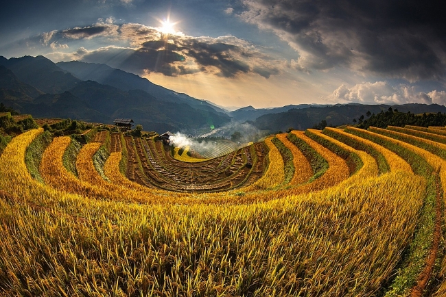 7 ideal choices for admiring ripening rice fields in northern Vietnam