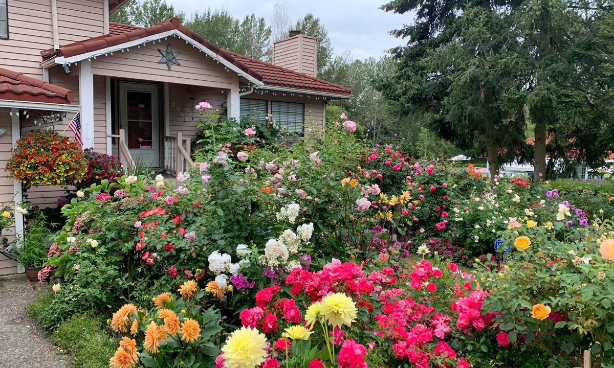 Lien's colorful flower garden at the facade of her house 