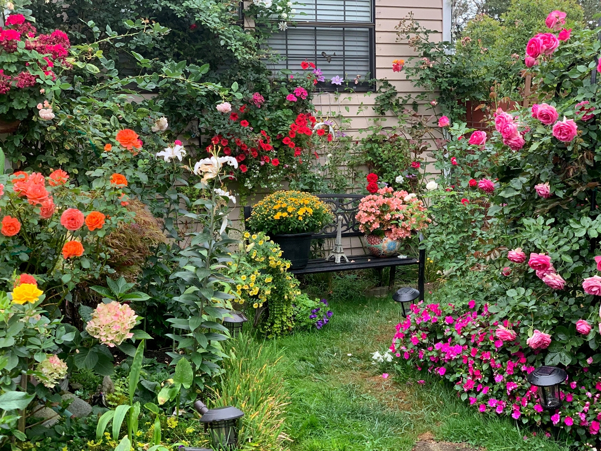 Dreamlike Vietnamese flowers and veggies garden in the US