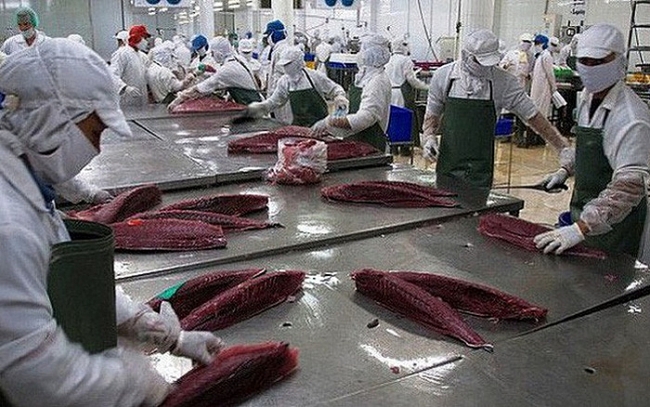 Vietnam’s tuna exports to EU skyrocket thanks to free trade agreement