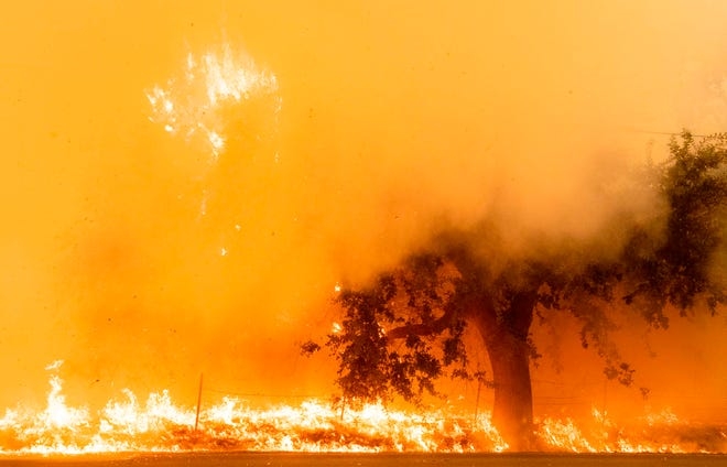 in photos wildfire devastates california traumatizes residents