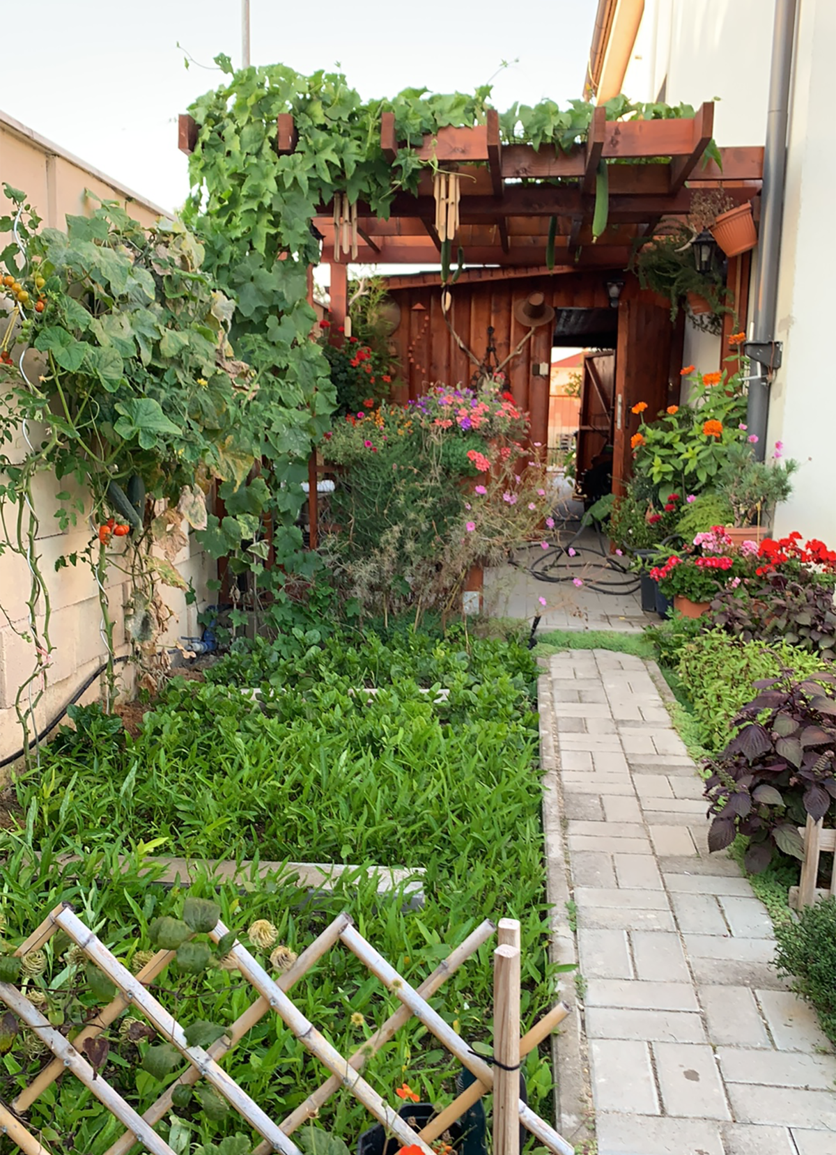 A Vietnamese garden in the midlle of Slovakia