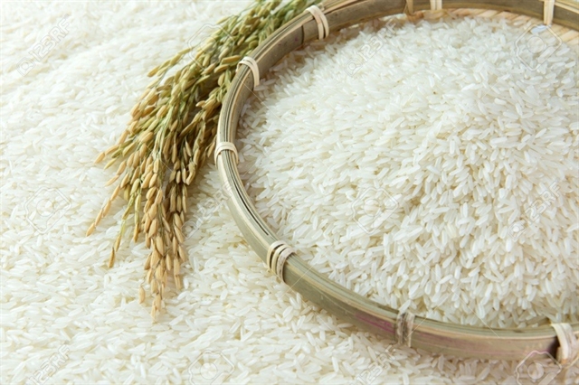 Rice is one of the key products of Việt Nam. Vietnamese businesses and farmers will focus on meeting the EU’s strict quality requirements, expanding the growing area and export volume, persifying varieties, and building brands for Vietnamese varieties in the EU market. – Photo baochinhphu.vn