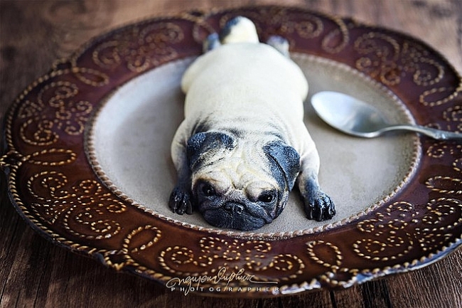 Vietnamese housewife creates "fever" among Facebook users with perfect dog-shaped mooncakes