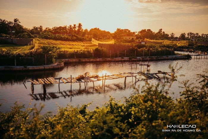 Rare Peaceful Scenes in Hai Phong City Amid Social Distancing