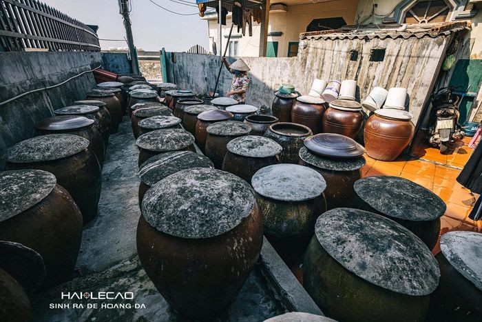 Rare Peaceful Scenes in Hai Phong City Amid Social Distancing