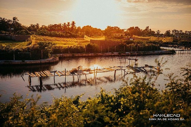 Rare Peaceful Scenes in Hai Phong City Amid Social Distancing