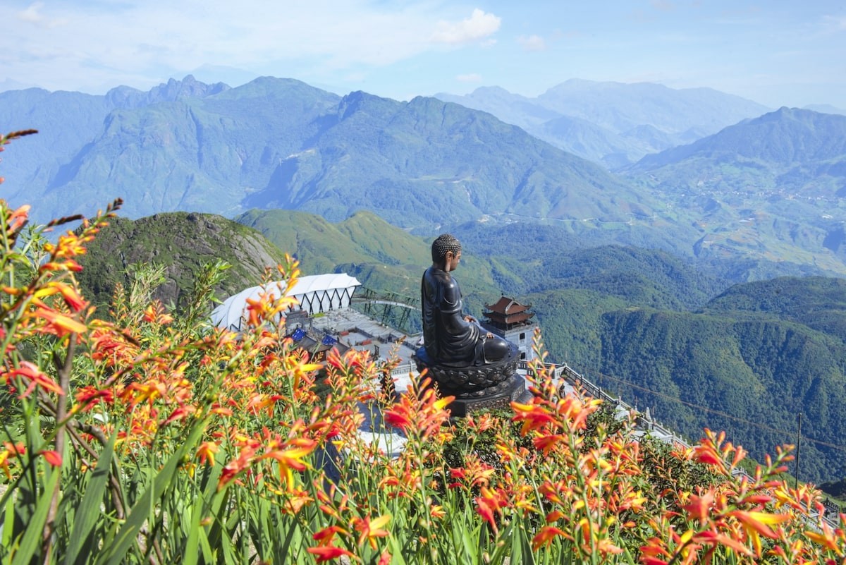 Brilliant Blooming Flowers Near Fansipan Peak