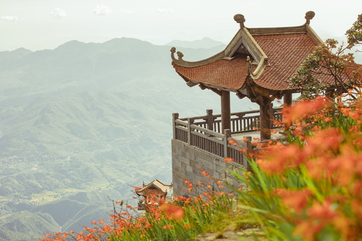 Brilliant Blooming Flowers Near Fansipan Peak