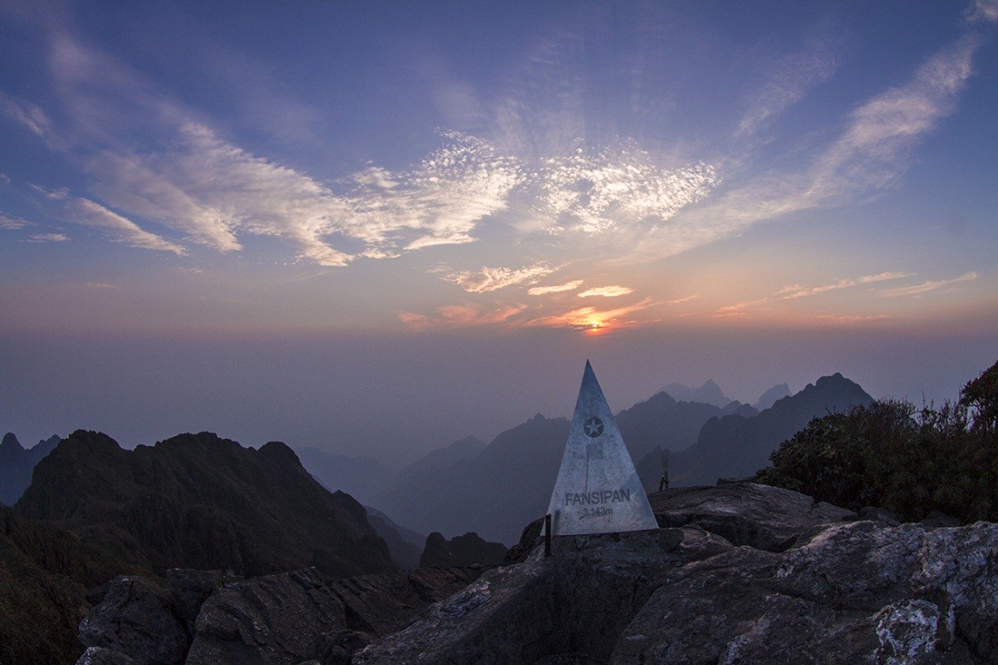 Brilliant Blooming Flowers Near Fansipan Peak