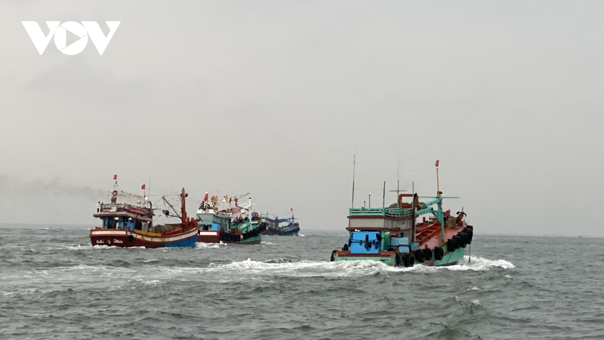 Impressive whale worshipping festival in Vung Tau city