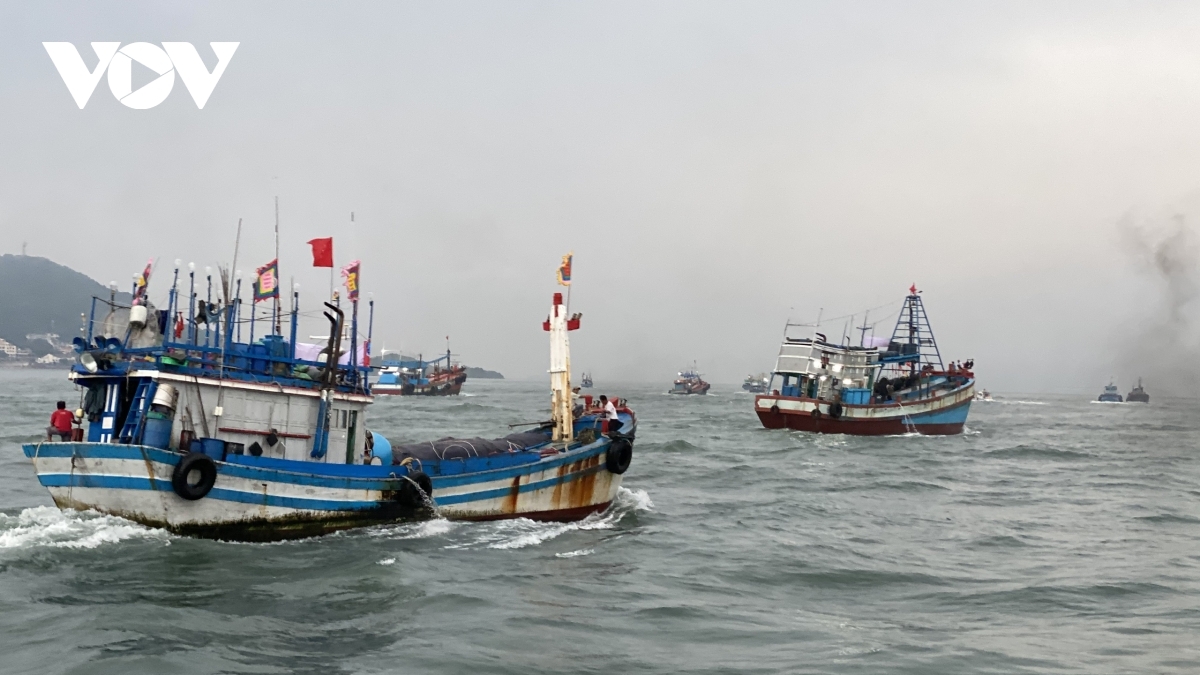 impressive whale worshipping festival in vung tau city