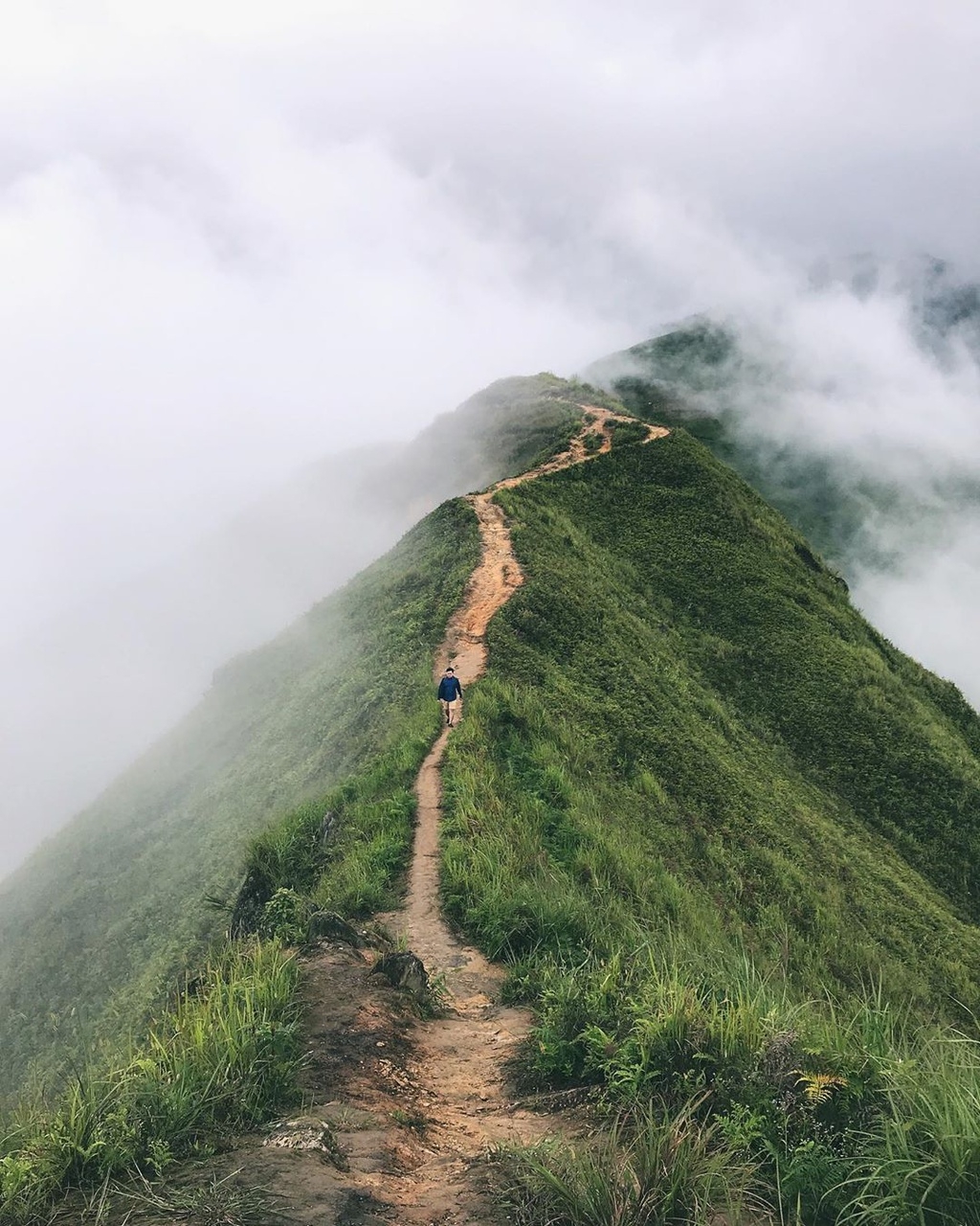 Impeccable view of the dinosaur backbone in Ta Xua