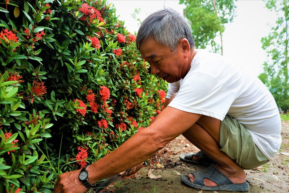 Mr. An taking care of the flowers (Photo: Thanh Nien)