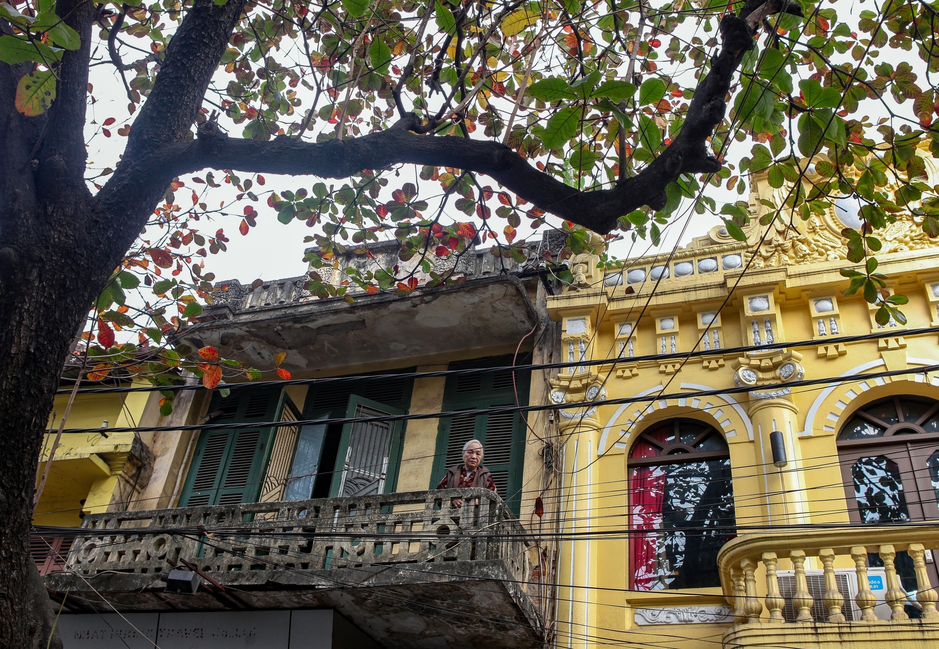 Graceful Hanoi in autumn days