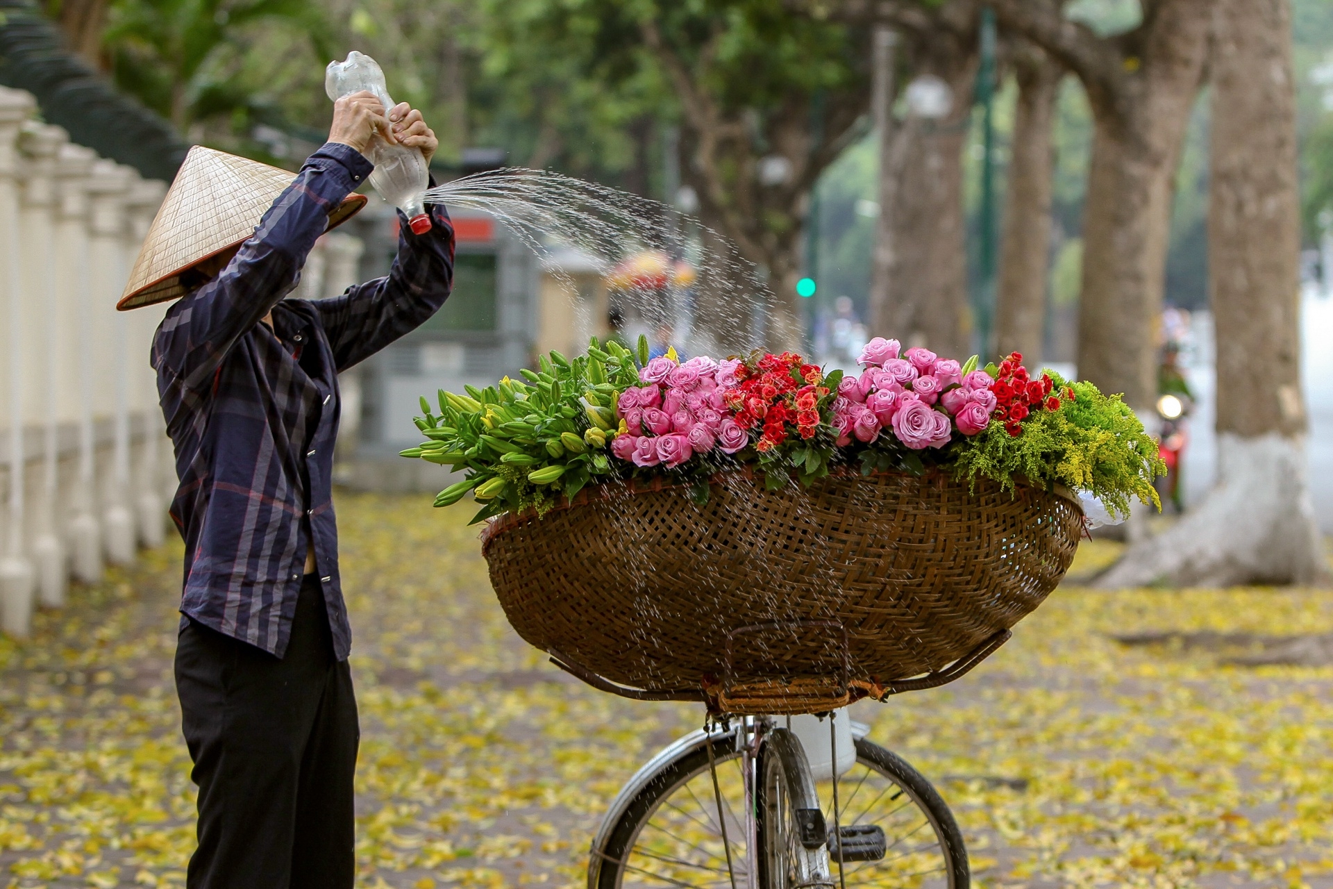 Graceful Hanoi in autumn days