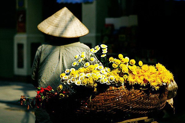 graceful hanoi in autumn days