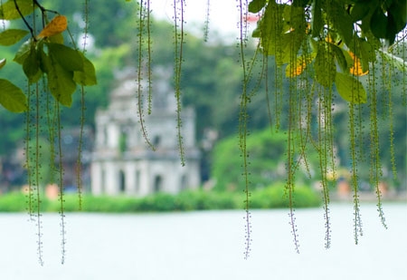 graceful hanoi in autumn days