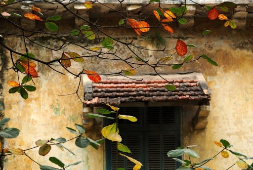 graceful hanoi in autumn days