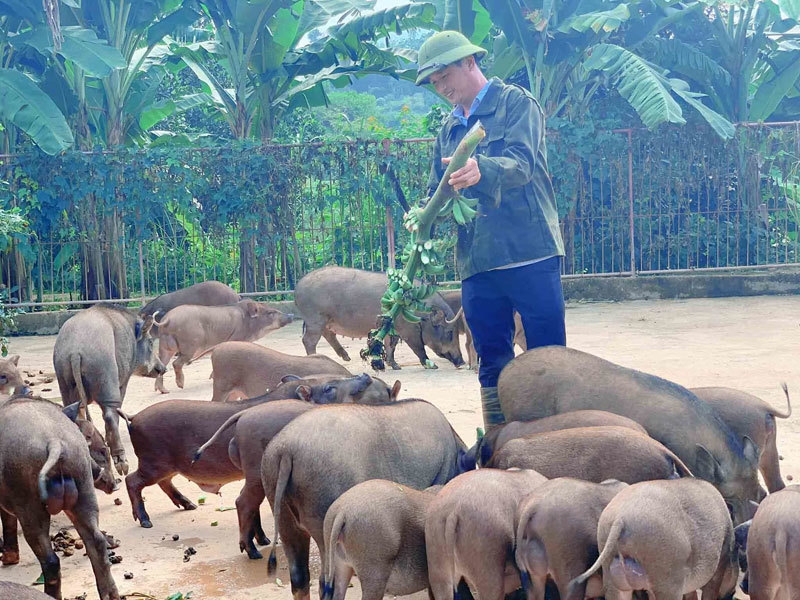 three great start ups garners thousands of dollars in vietnam