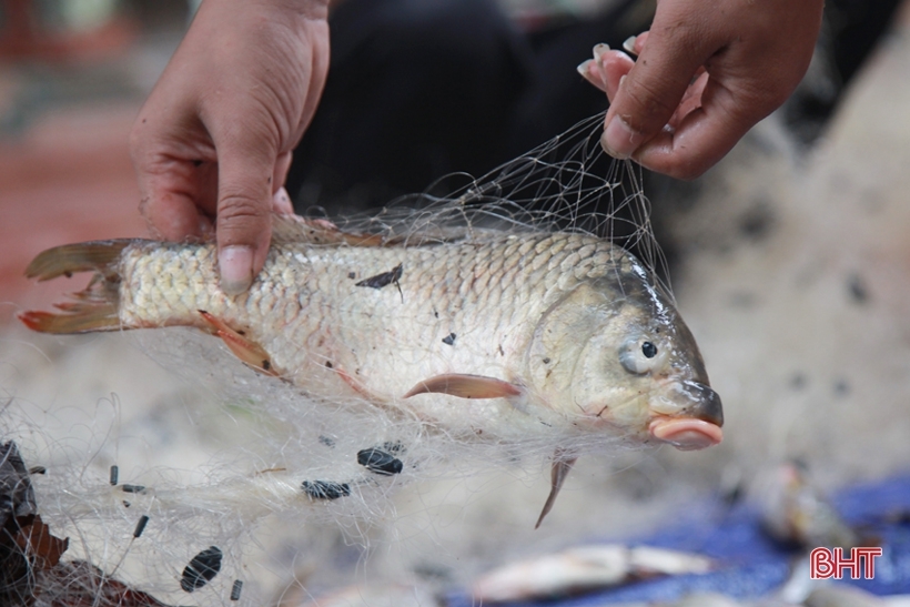 flood season in da nang locals joyfully take to the street to catch fish