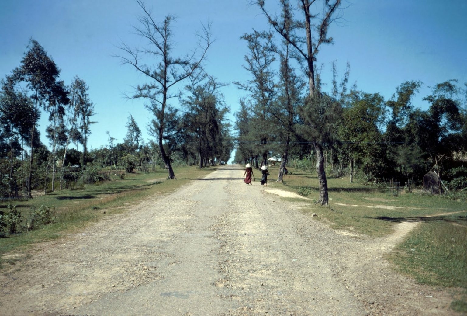 Rare color photos of Quang Tri province in 1960s