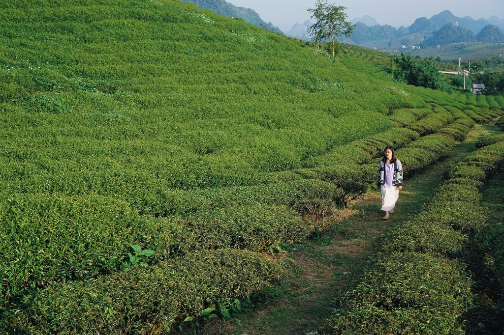 4 alluring mountainous areas in Vietnam to conquer as winter draws near