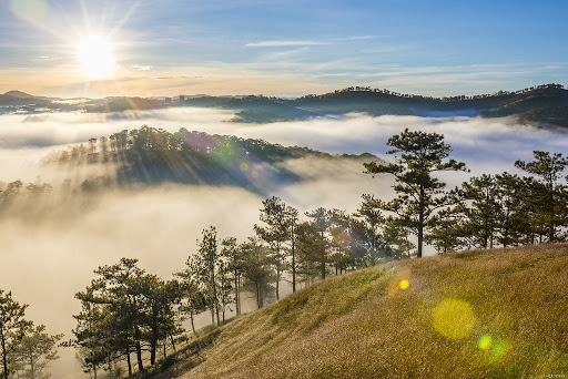 5 must-conquer places for captivating cloud hunting adventure in Da Lat