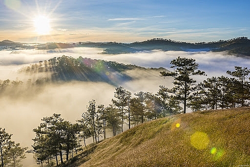 5 must-conquer places for captivating cloud hunting adventure in Da Lat