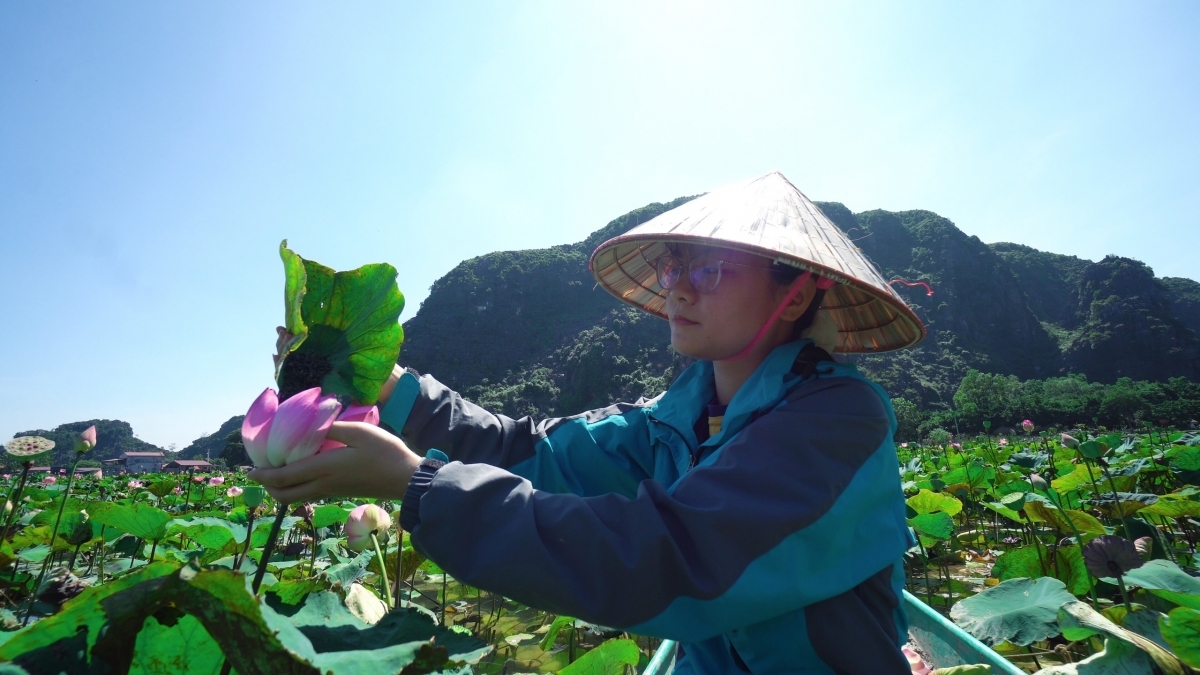 Lotus cuisine in Ninh Binh, a feast for visitors' soul