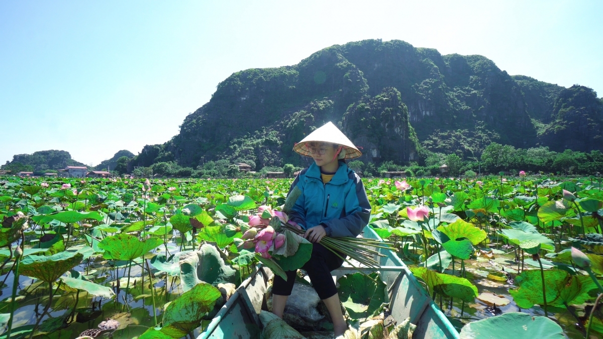 Lotus cuisine in Ninh Binh, a feast for visitors' soul