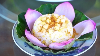 lotus cuisine in ninh binh a feast for visitors soul