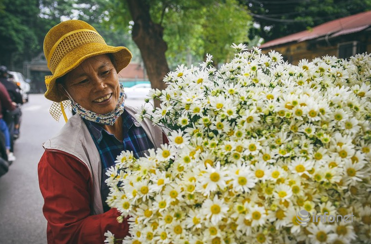 Hanoi turns on romantic mode with white daisy covering almost every street corners