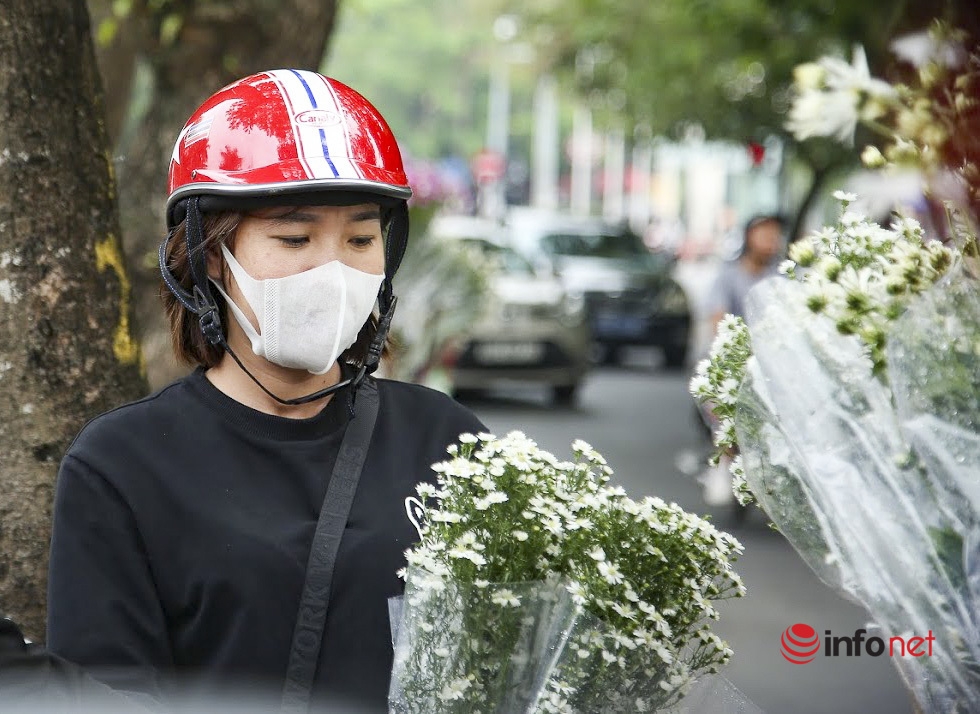 Hanoi turns on romantic mode with white daisy covering almost every street corners