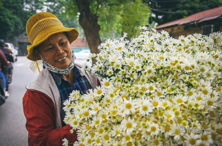 hanoi turns on romantic mode with white daisy covering almost every street corners