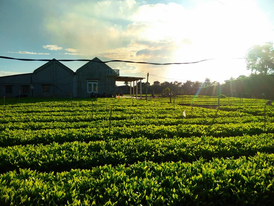 A glimpse at the gorgeous Van Hoa pleatau, southern Vietnam