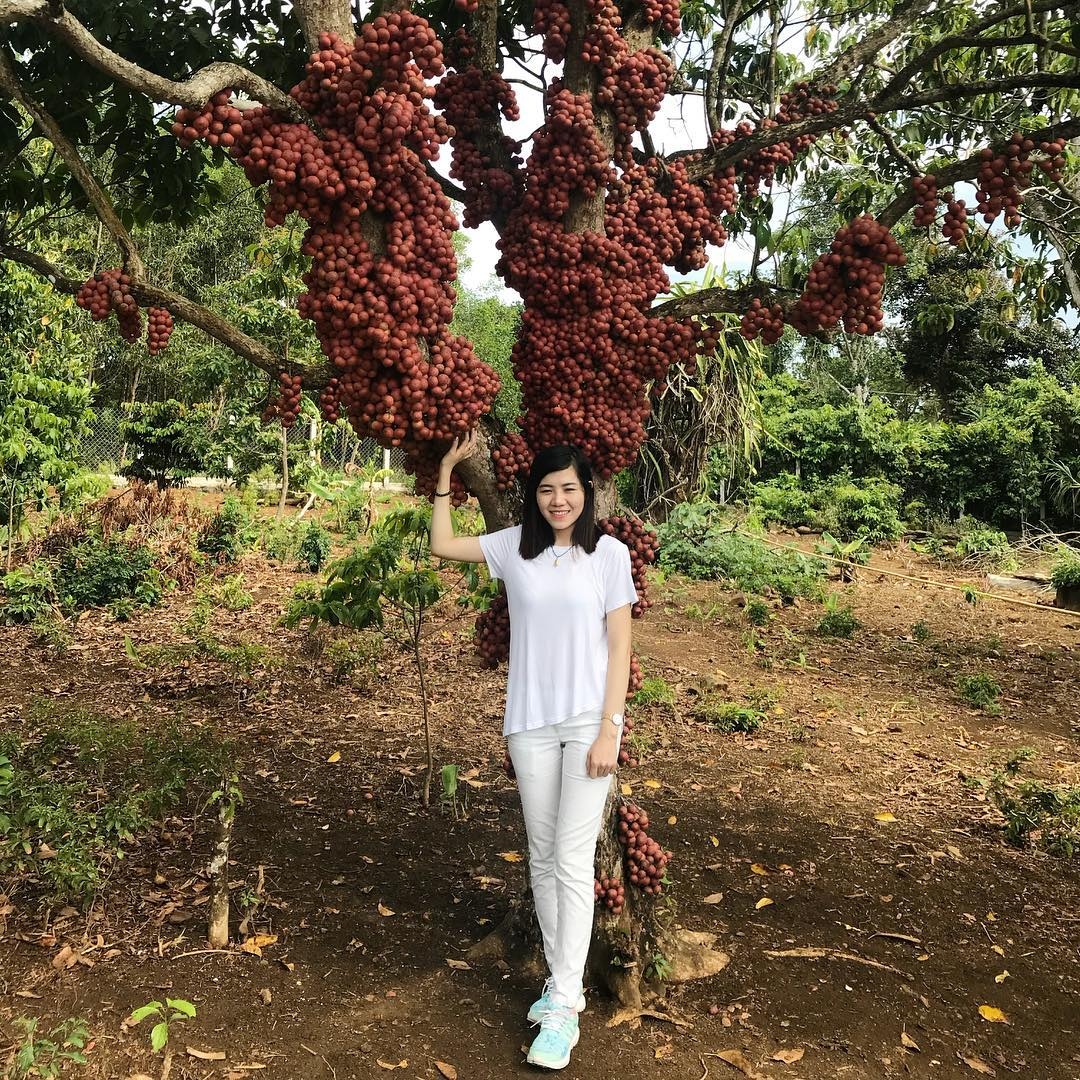 A glimpse at the gorgeous Van Hoa pleatau, southern Vietnam