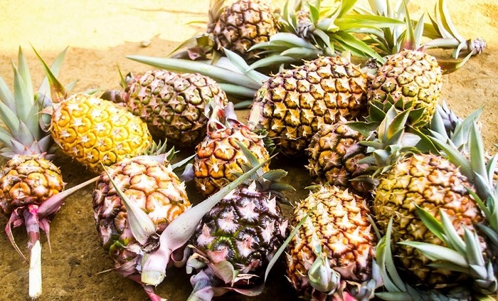 Van Hoa plateau is home to delectable fruits (Photo: Lu Hanh Vietnam) 