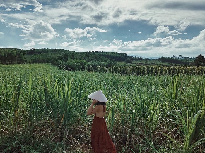 A glimpse at the gorgeous Van Hoa pleatau, southern Vietnam