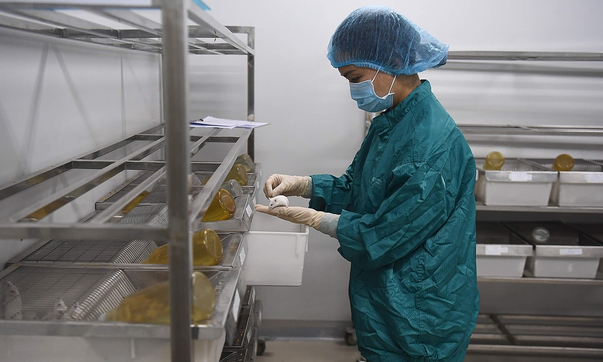 A scientist checks a mouse tested with a Vietnam's Covid-19 vaccine candidate at a lab in Hanoi, July 1, 2020. (Photo: VNE)