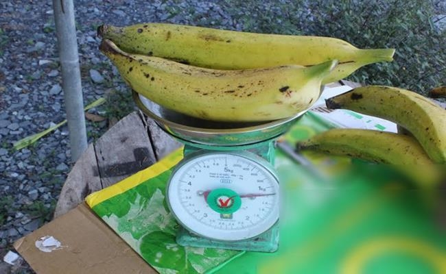 Weirdly giant fruits in Vietnam lesser known to local people