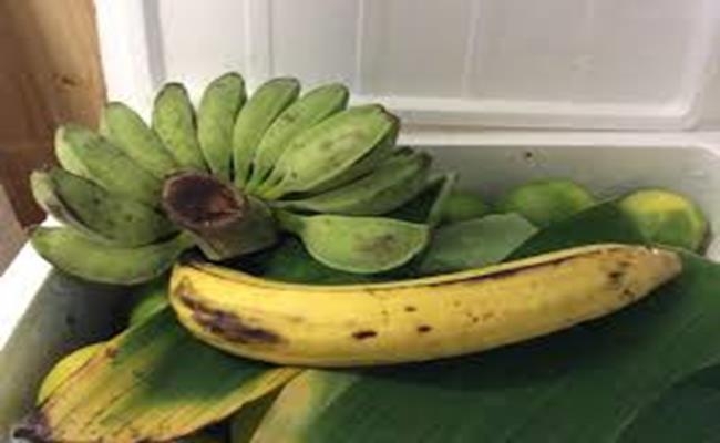 Weirdly giant fruits in Vietnam lesser known to local people