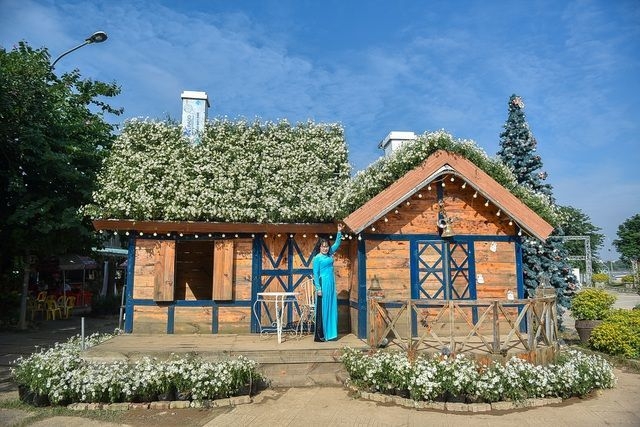 Unique daisy house in Hanoi gives spotlight for photo-lovers