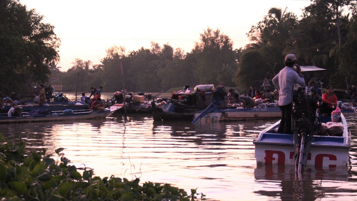 Video: Vibrant dawn at Phong Dien floating market