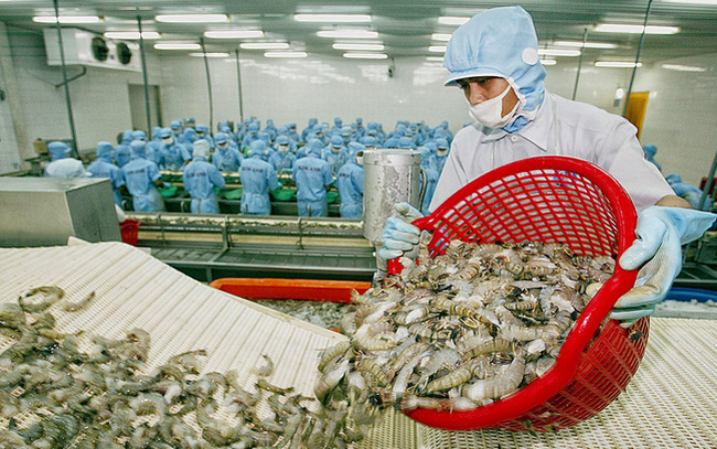 Vietnam’s shrimp exports rise amidst COVID-19 pandemic