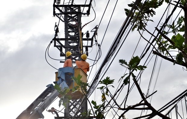 Workers repair electricity facilities (Photo: VNA) 