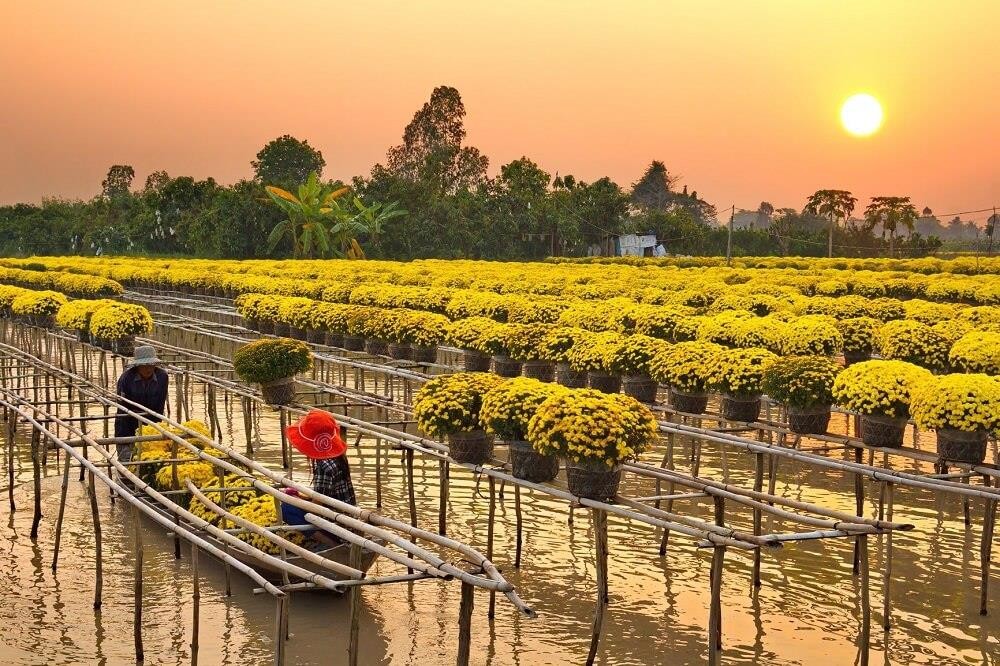 Vietnam Crowned Asia’s Best River Cruise Destination