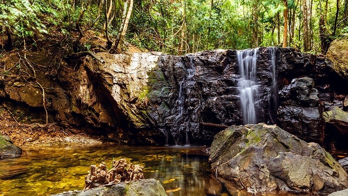 Phu Quoc Welcomes First European Tourists After 2 Years of Covid Closure