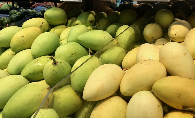 Vietnamese mangoes imported into US grow up